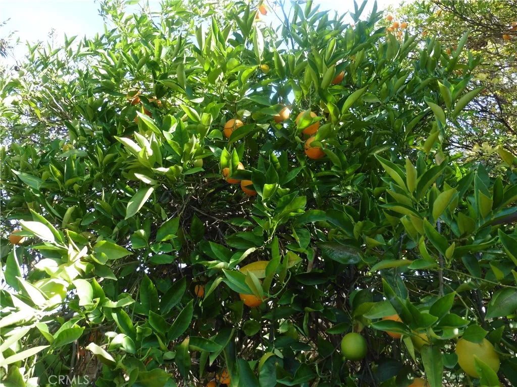 Additional image 27 of 5404 Quince St, Riverside, CA 92506