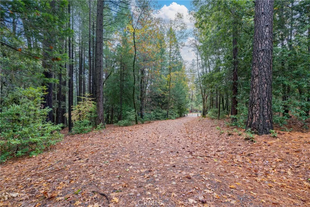 Additional image 128 of 16376 Stage Road, Forest Ranch, CA 95942