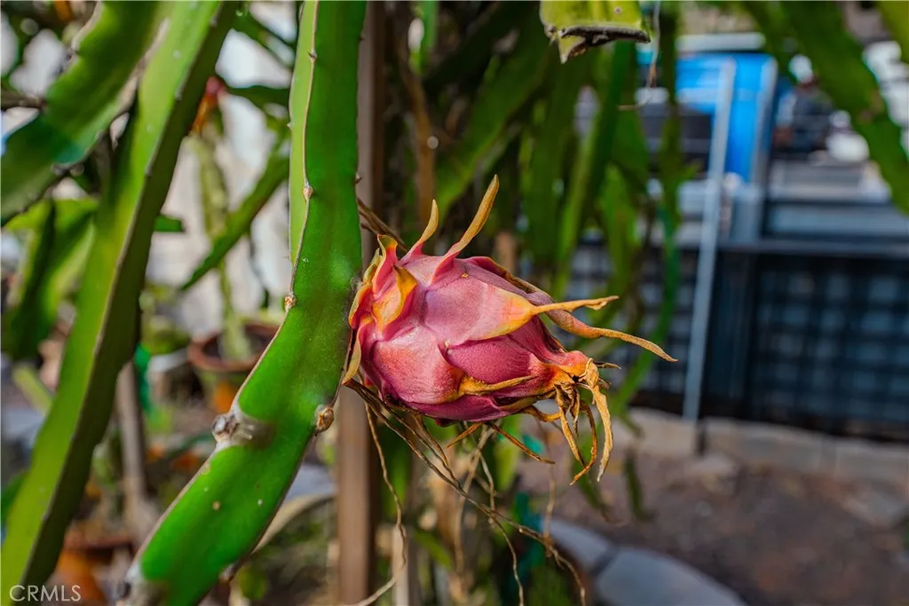 Additional image 67 of 6580 Lake St, Riverside, CA 92503