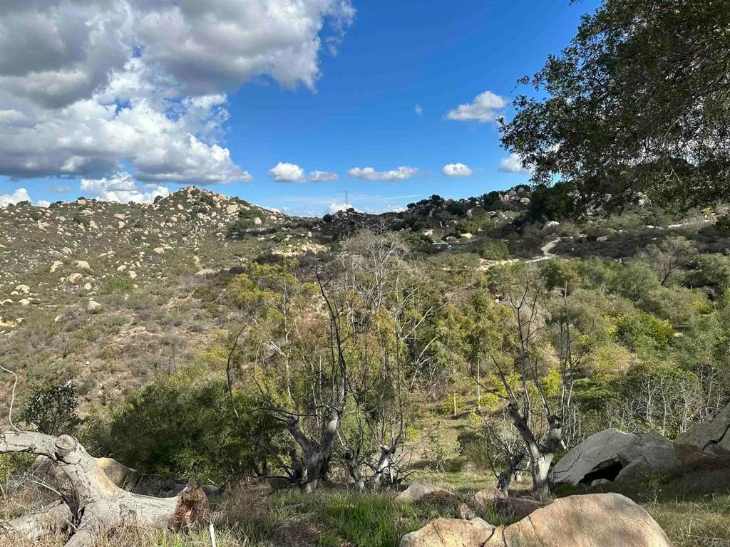 Additional image 49 of 2494 Lane Ln, Fallbrook, CA 92028