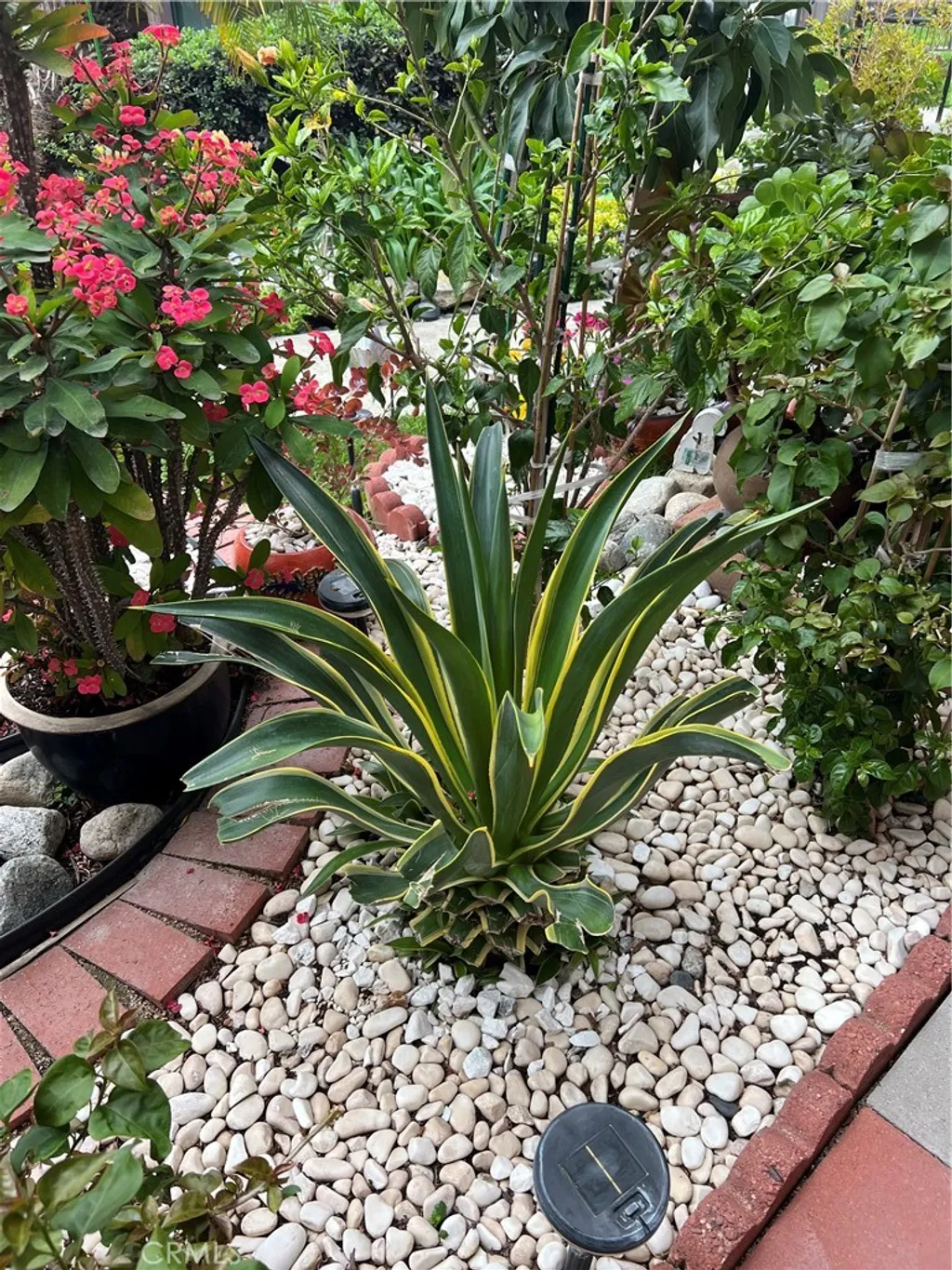 Additional image 47 of 320 W Walnut Street Unit 51, Ontario, CA 91762