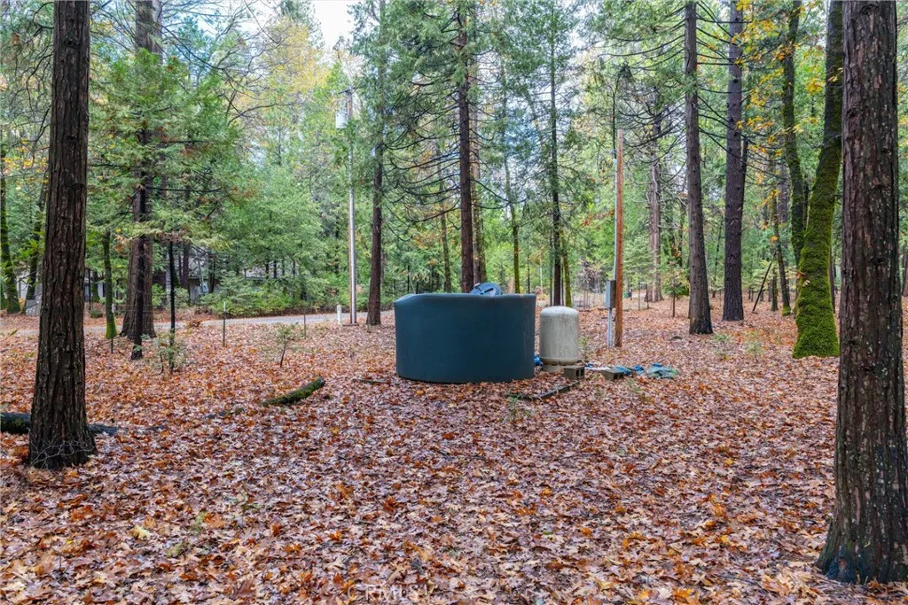Additional image 37 of 16376 Stage Road, Forest Ranch, CA 95942