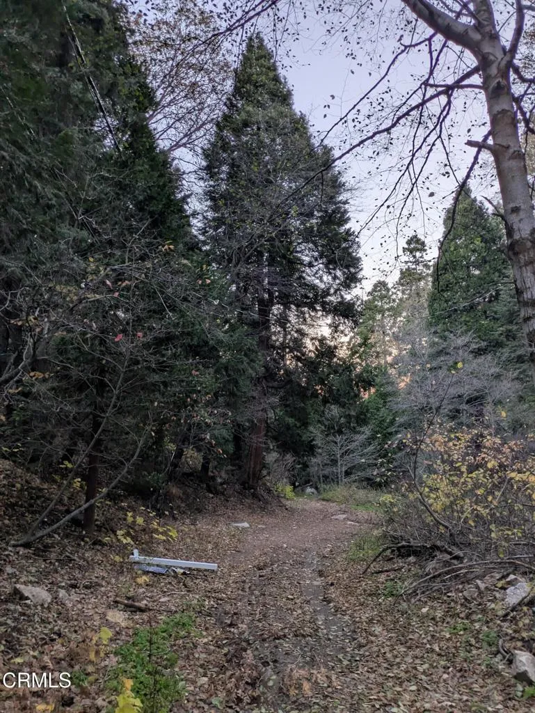 Additional image 22 of Fleming Creek, Lake Arrowhead, CA 92352