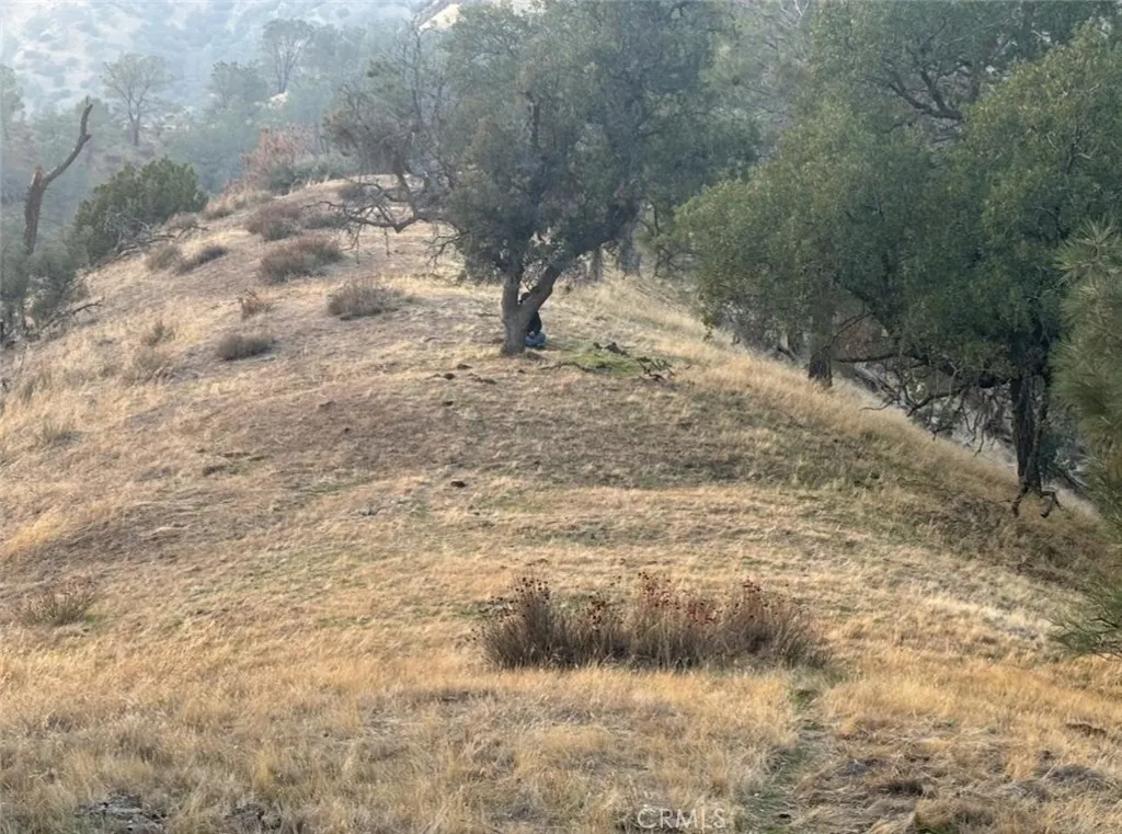 Additional image 30 of 18266 Caliente Creek Road, Caliente, CA 93518