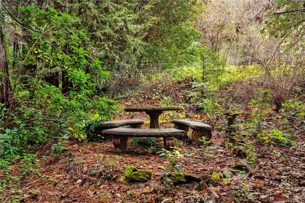 Additional image 66 of 18774 Challenge Cut Off Road, Forbestown, CA 95941