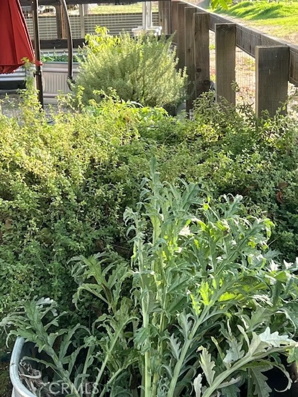 Additional image 26 of 30076 Bouquet Canyon Rd, Saugus, CA 91390