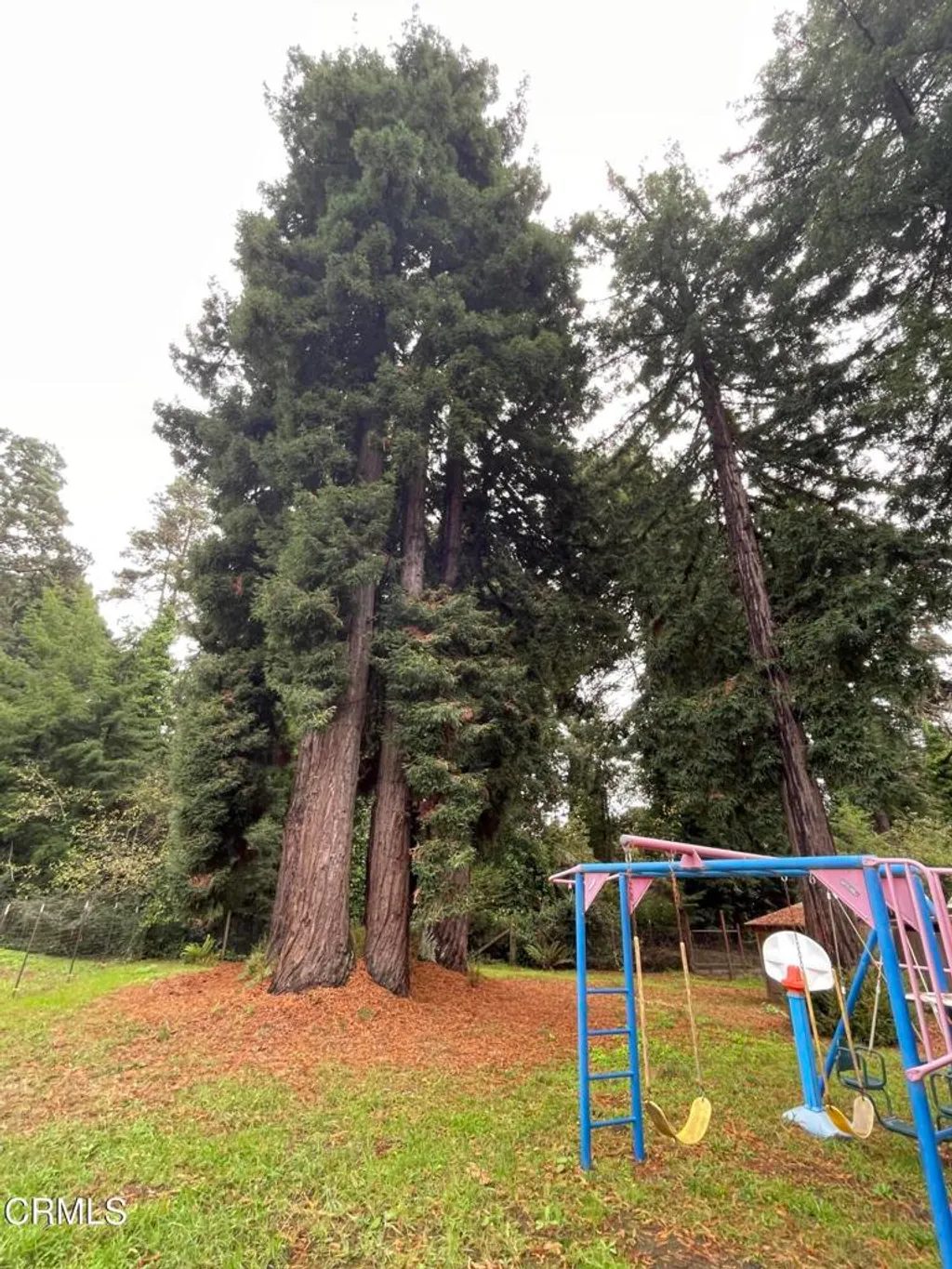 Additional image 60 of 14875 Atkins Way, Fort Bragg, CA 95437