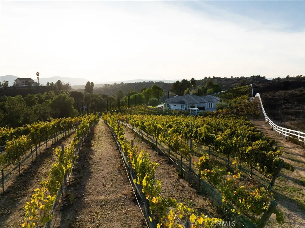 Additional image 57 of 42339 Casa Verde, Temecula, CA 92592