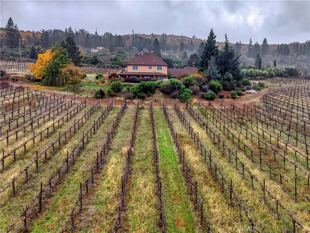 Additional image 50 of 8664 Seigler Springs North Rd, Kelseyville, CA 95451