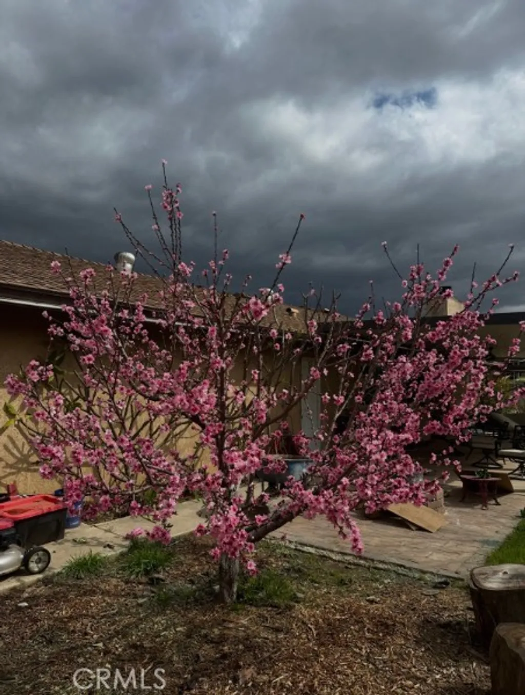 Additional image 71 of 5999 Homestead St, Jurupa Valley, CA 92509