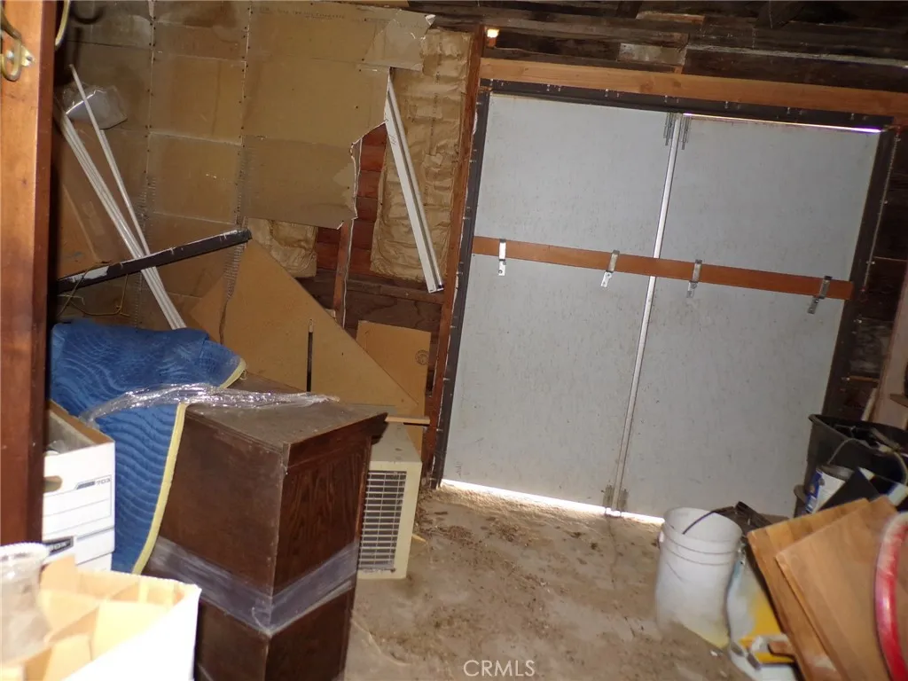 Additional image 14 of Cholla, Johnson Valley, CA 92285