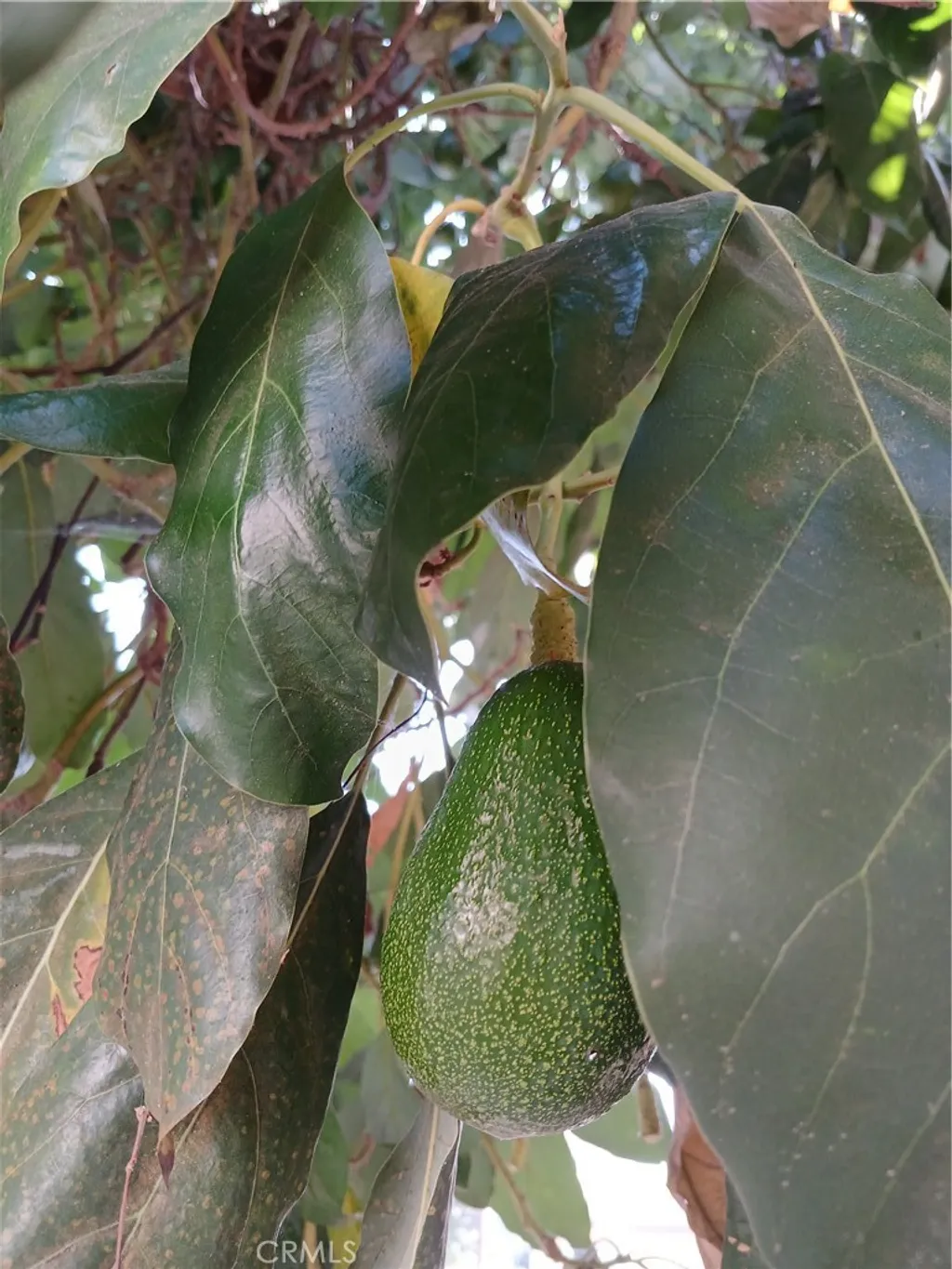 Additional image 16 of 3531 N Figueroa St, Los Angeles, CA 90065