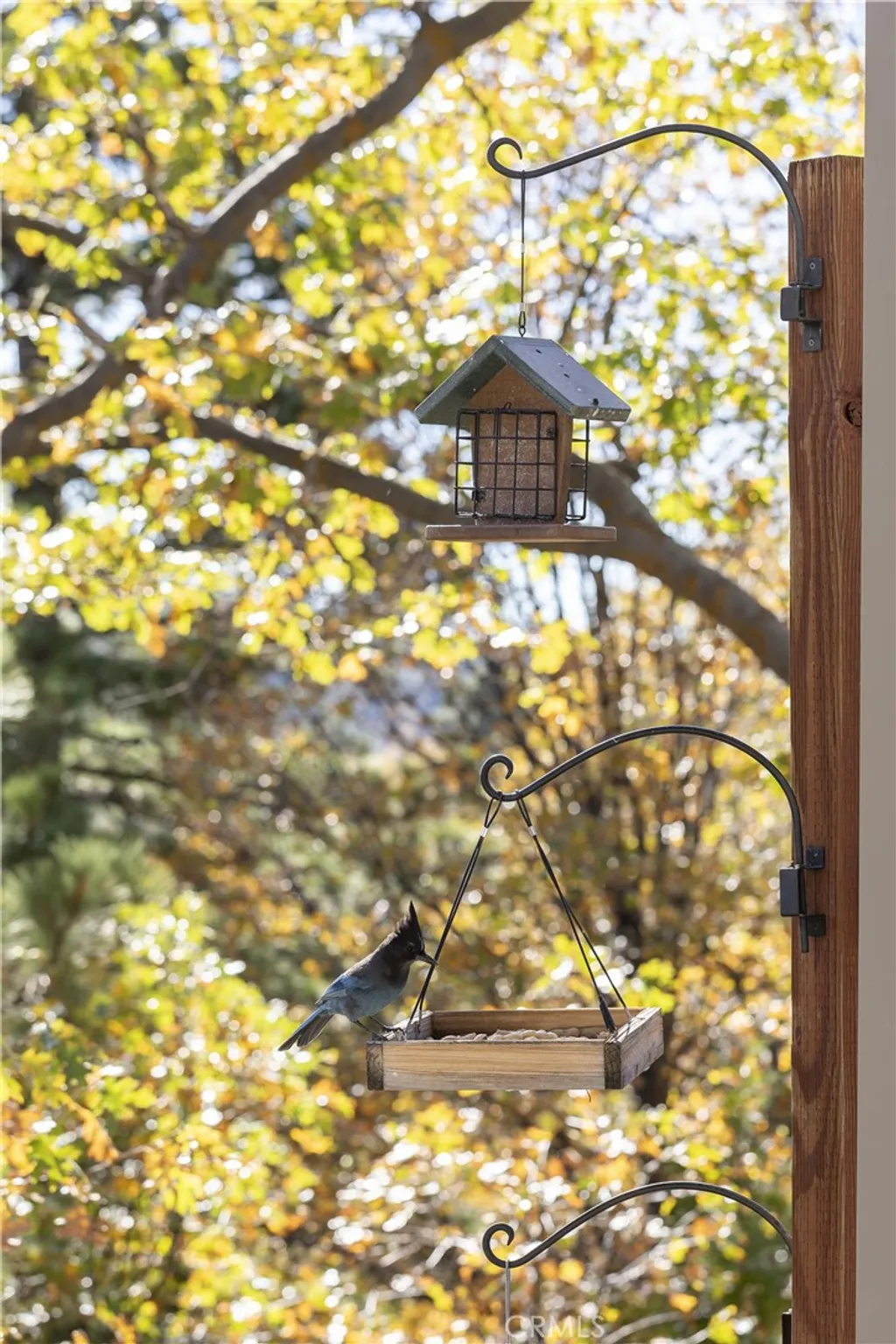 Additional image 35 of 1010 Black Oaks Dr, Lake Arrowhead, CA 92352