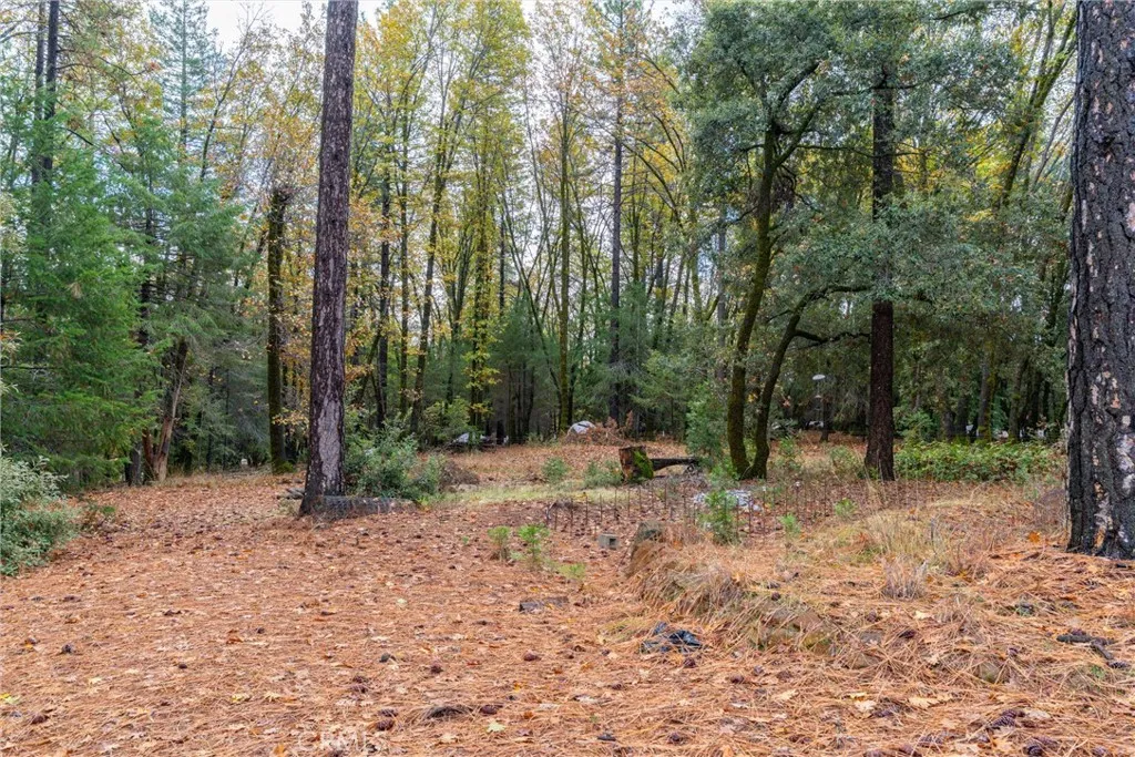 Additional image 69 of 16376 Stage Road, Forest Ranch, CA 95942