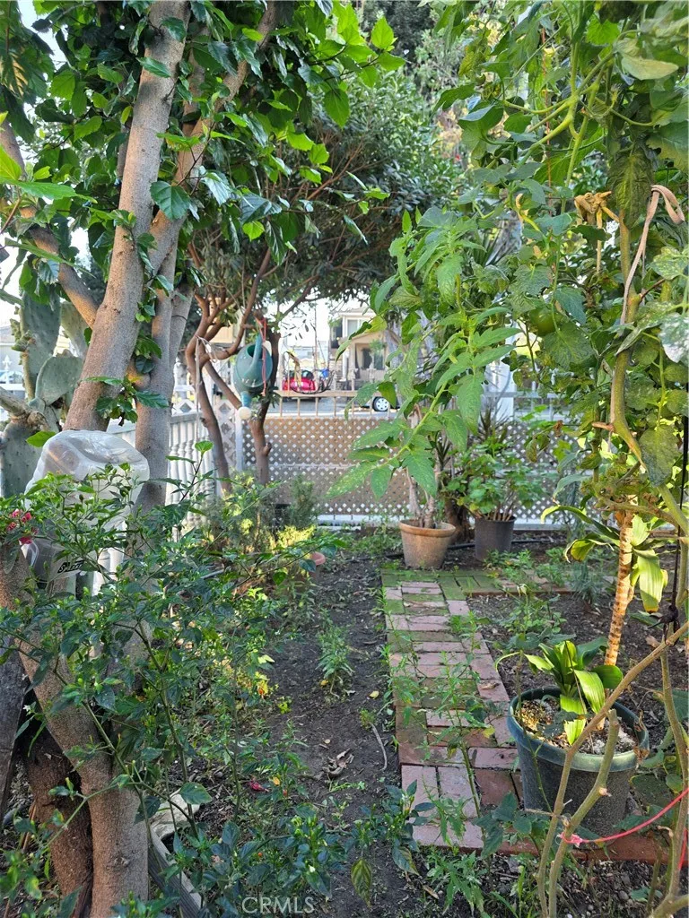 Additional image 43 of 351 E 92nd St, Los Angeles, CA 90003