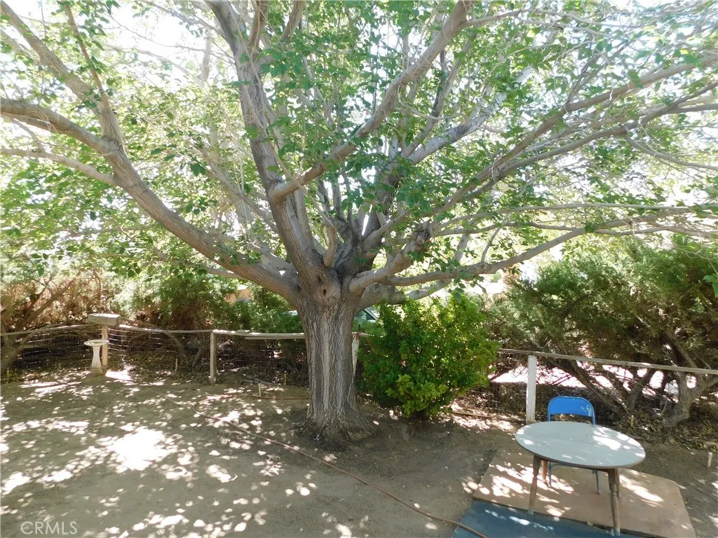 Additional image 56 of 45985 Cottonwood Road, Newberry Springs, CA 92365