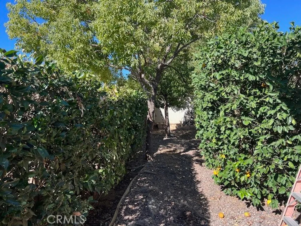 Additional image 30 of 581 Dorothy Anna Dr, Banning, CA 92220