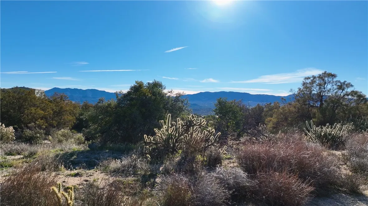 Additional image 65 of 42475 La Brinia Ln, Anza, CA 92539