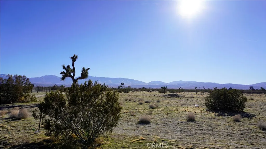 Additional image 9 of 118th, Sun Village, CA 93543