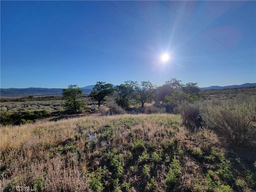 Additional image 34 of 44451 Jay Dr, Anza, CA 92539