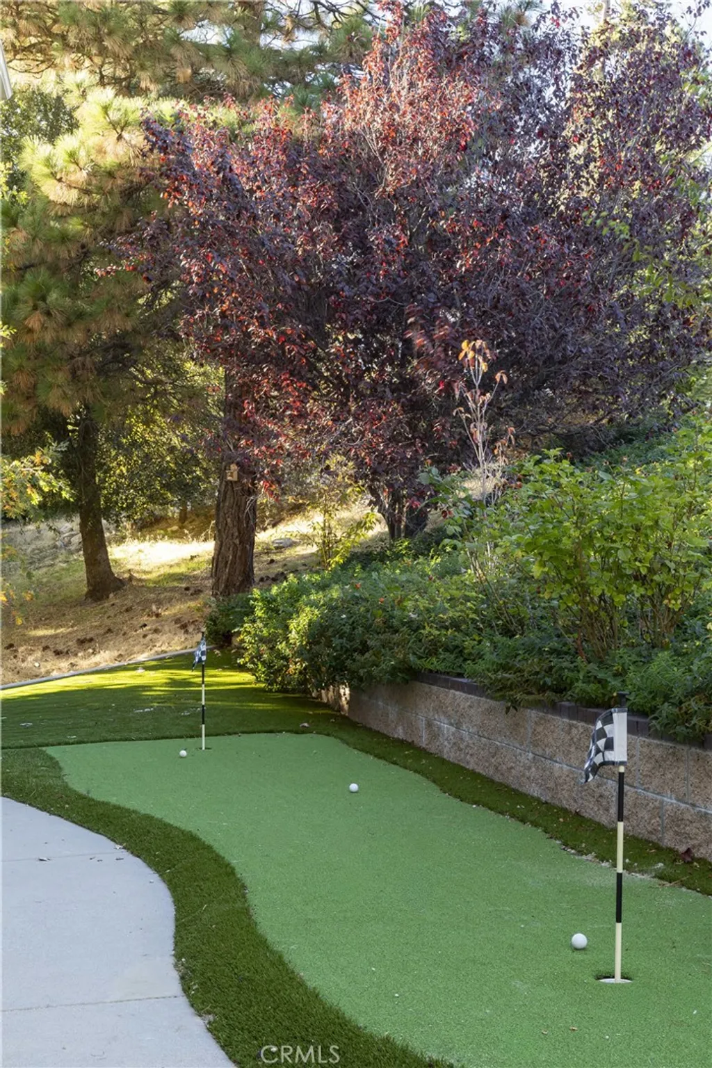 Additional image 28 of 1010 Black Oaks Dr, Lake Arrowhead, CA 92352