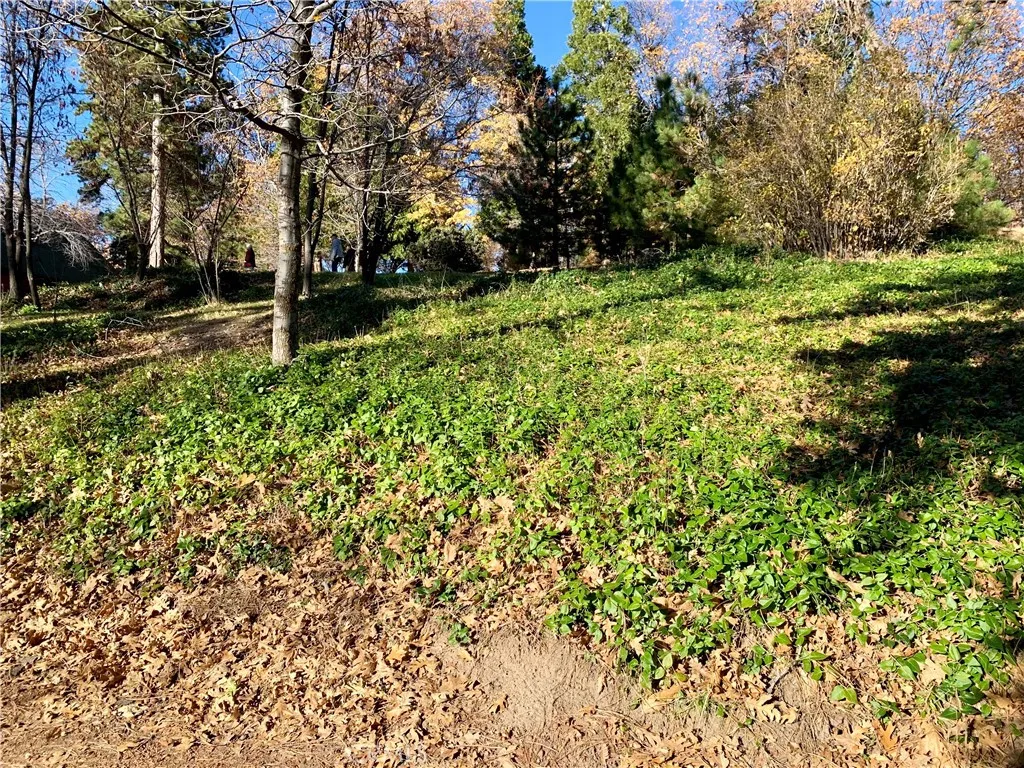 Additional image 27 of 40 Park Dr, Running Springs, CA 92382