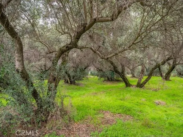 Additional image 111 of 5287 Barham Avenue, Corning, CA 96021