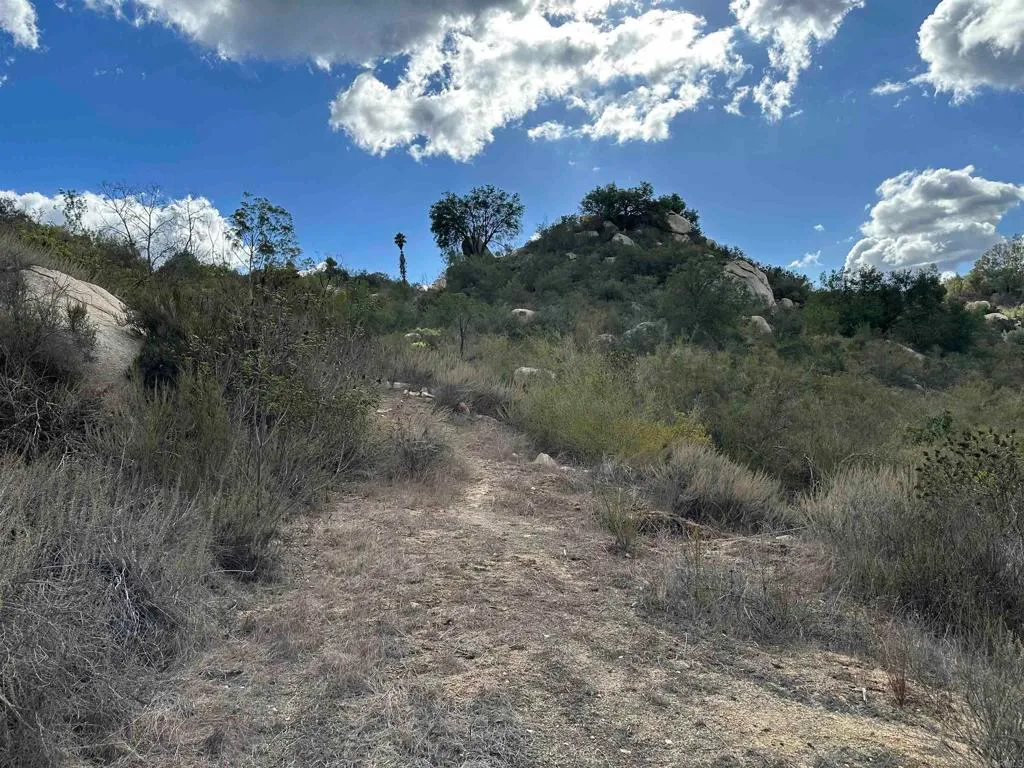 Additional image 47 of 2494 Lane Ln, Fallbrook, CA 92028