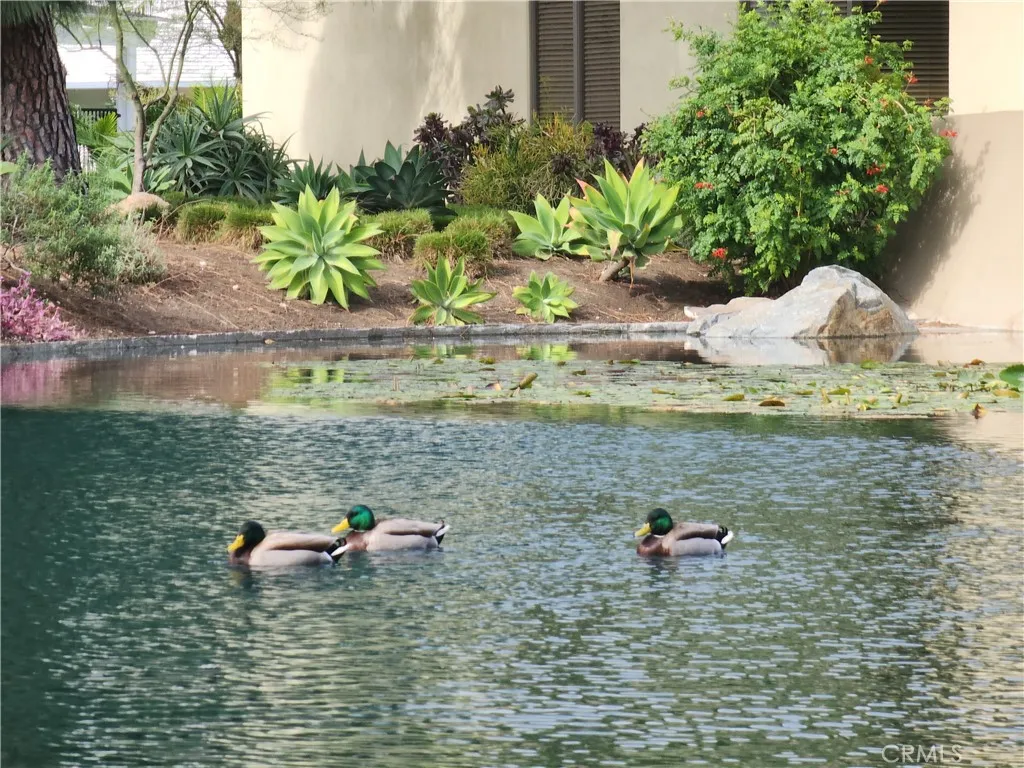 Additional image 38 of 335 Ridgelake Dr, Placentia, CA 92870