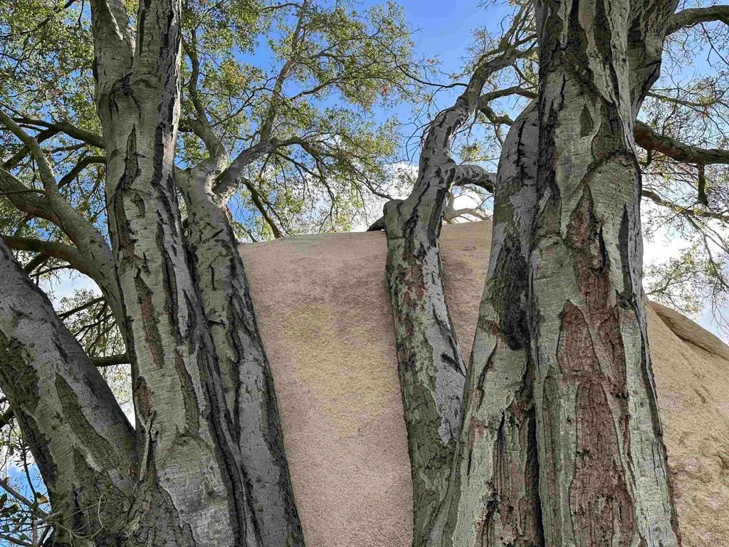 Additional image 33 of 2494 Lane Ln, Fallbrook, CA 92028