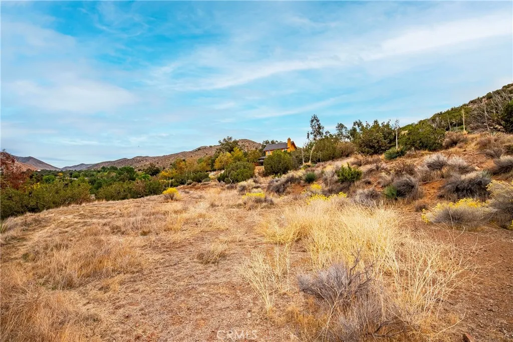 Additional image 106 of 31741 Lake Meadow Rd, Acton, CA 93510