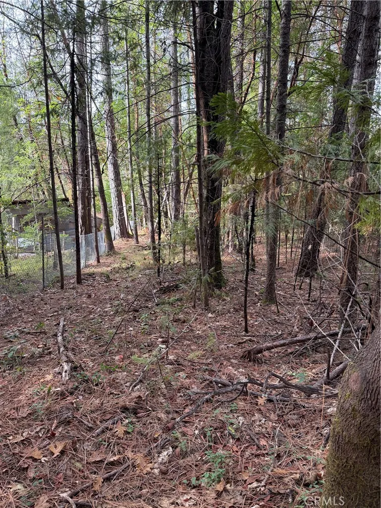 Additional image 15 of 8890 La Porte Road, Brownsville, CA 95919