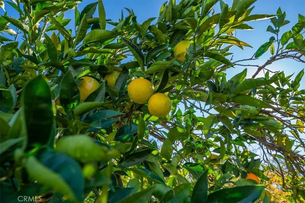 Additional image 110 of 22319 O, Corning, CA 96021