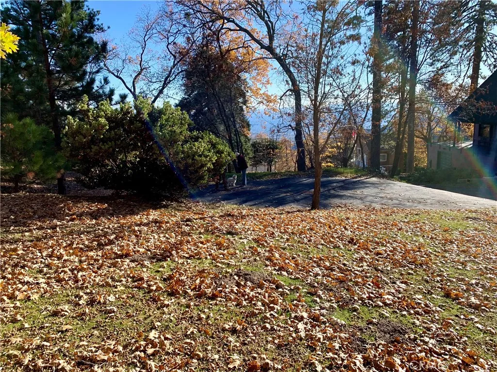 Additional image 16 of 40 Park Dr, Running Springs, CA 92382