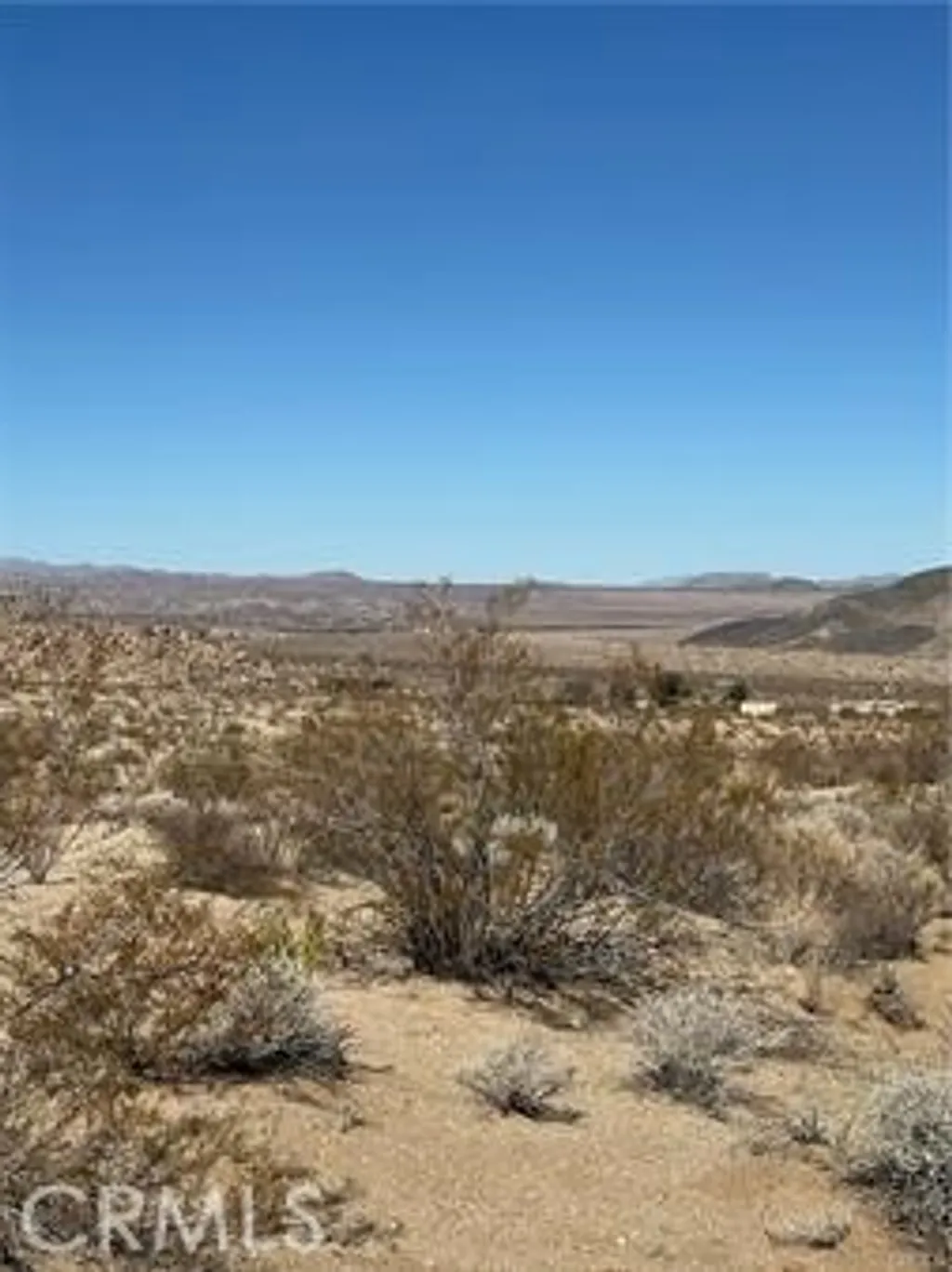 Additional image 2 of Jackass, 29 Palms, CA 92277