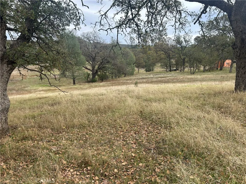 Additional image 50 of 22753 Jerusalem Grade, Lower Lake, CA 95457