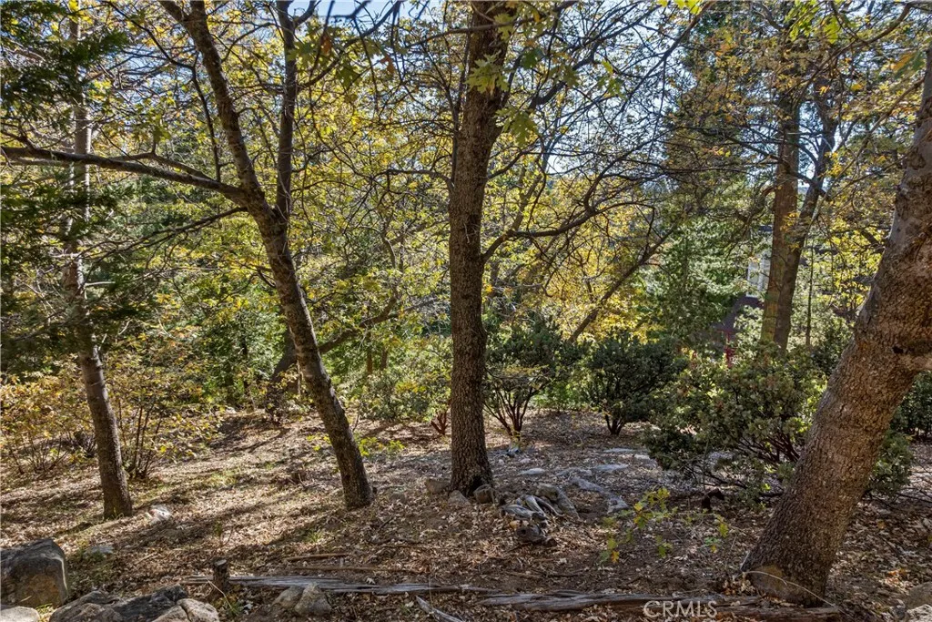 Additional image 25 of Pioneer Road, Lake Arrowhead, CA 92352