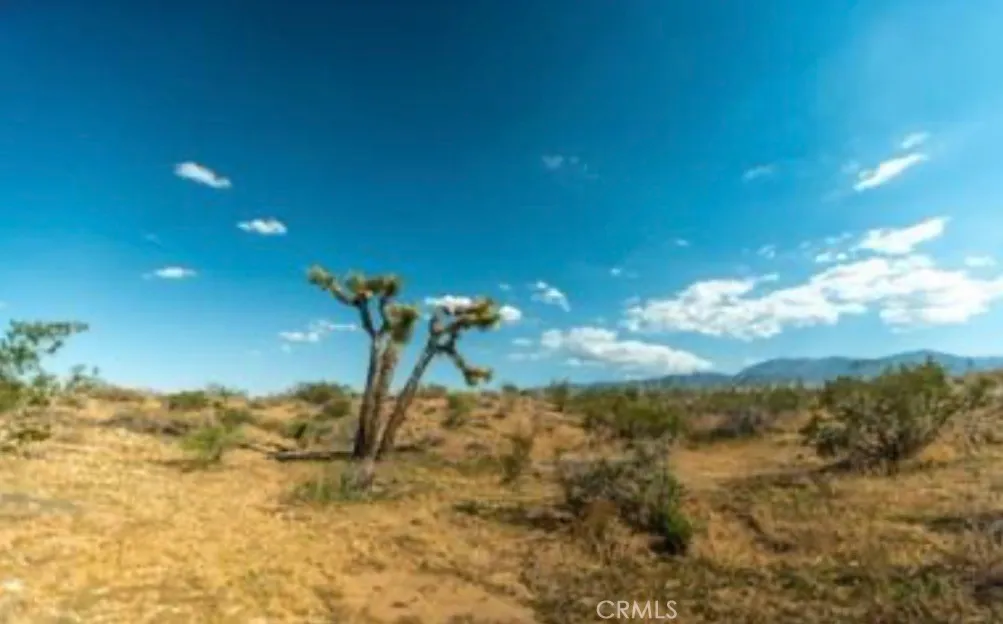 Additional image 36 of 10 171st E, Palmdale, CA 93591