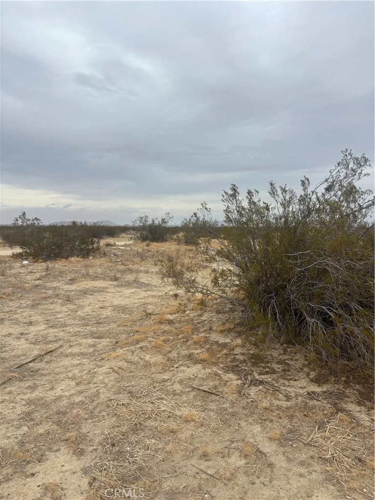 Additional image 13 of Ste/Vic, Black Butte, CA 93591