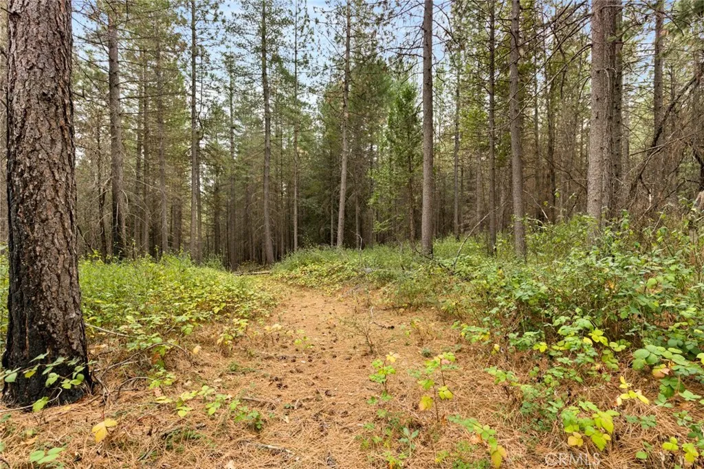 Additional image 11 of Old Forbestown Road, Forbestown, CA 95941