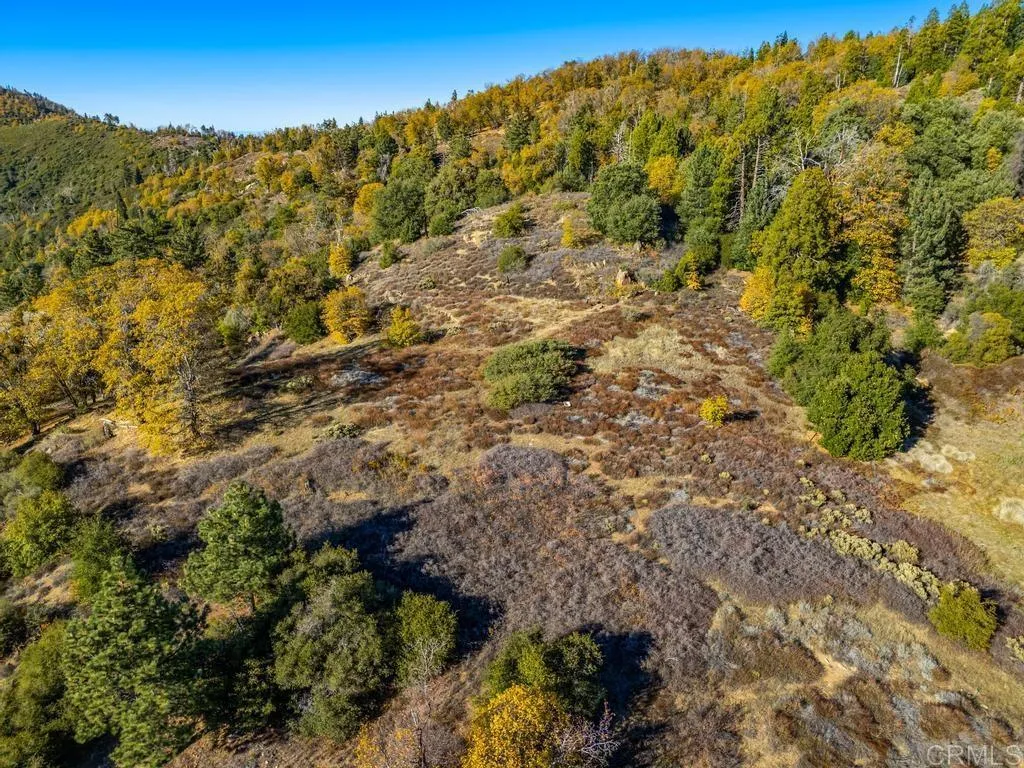 Additional image 29 of State Park Road, Palomar Mountain, CA 92060