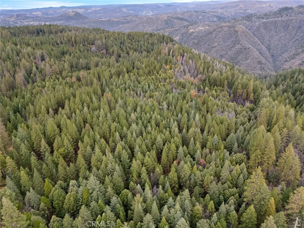 Additional image 17 of Old Forbestown Road, Forbestown, CA 95941