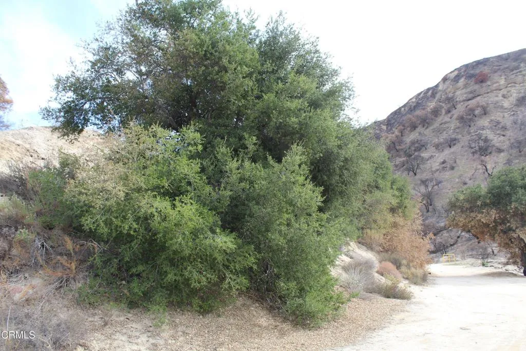 Additional image 26 of 31029 Hasley Canyon Road, Castaic, CA 91384