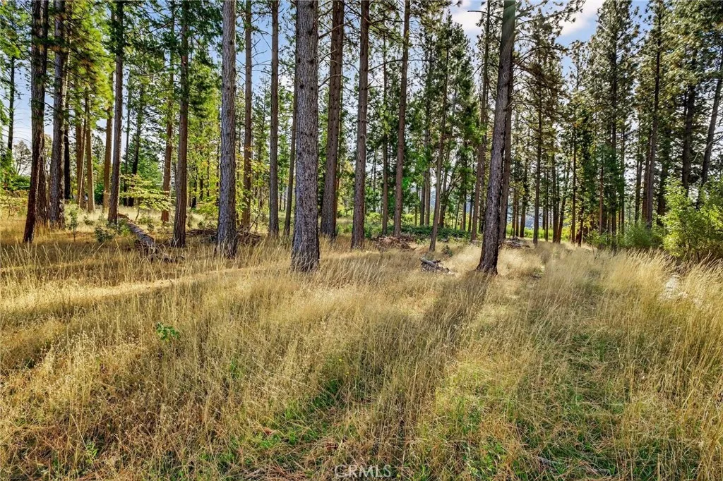 Additional image 3 of 4120 Jack Dale Way, Oroville, CA 95965