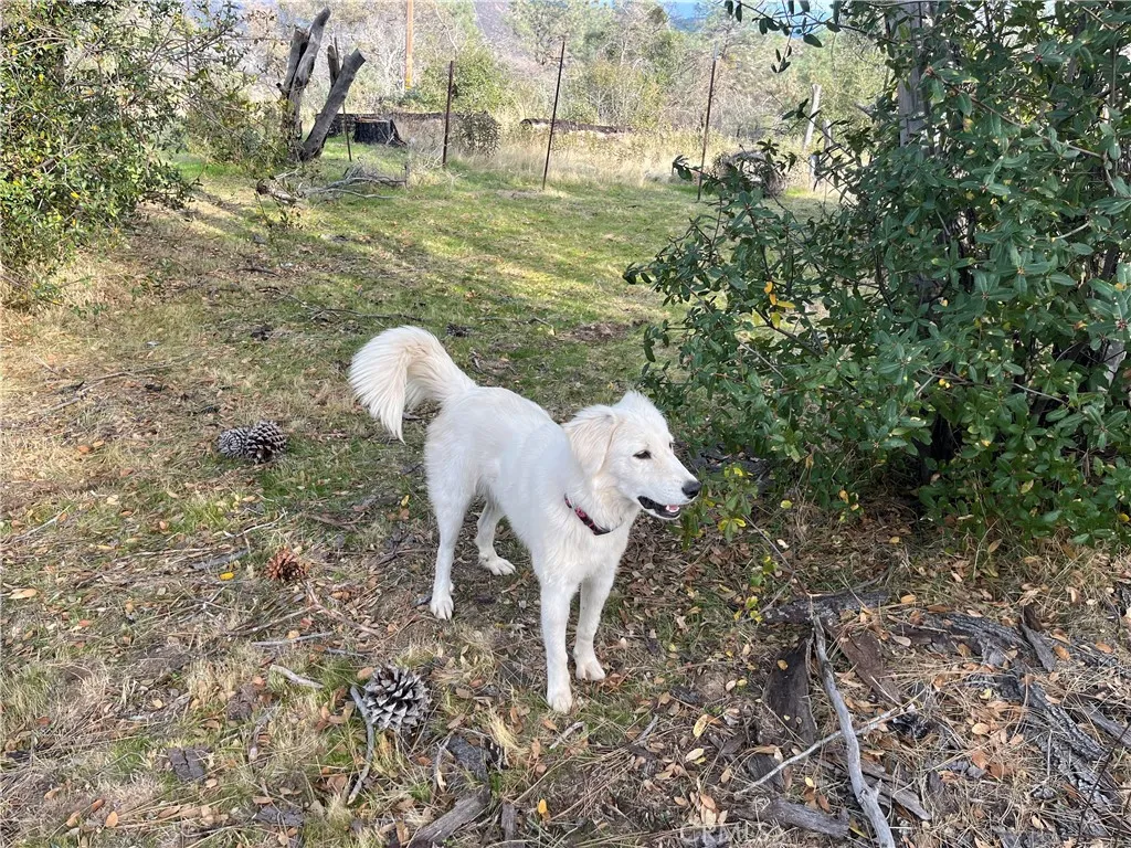 Additional image 107 of 4934 Guadalupe Fire, Catheys Valley, CA 95306