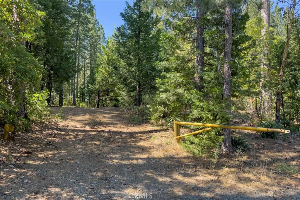 Additional image 47 of forbestown rd, Forbestown, CA 95941