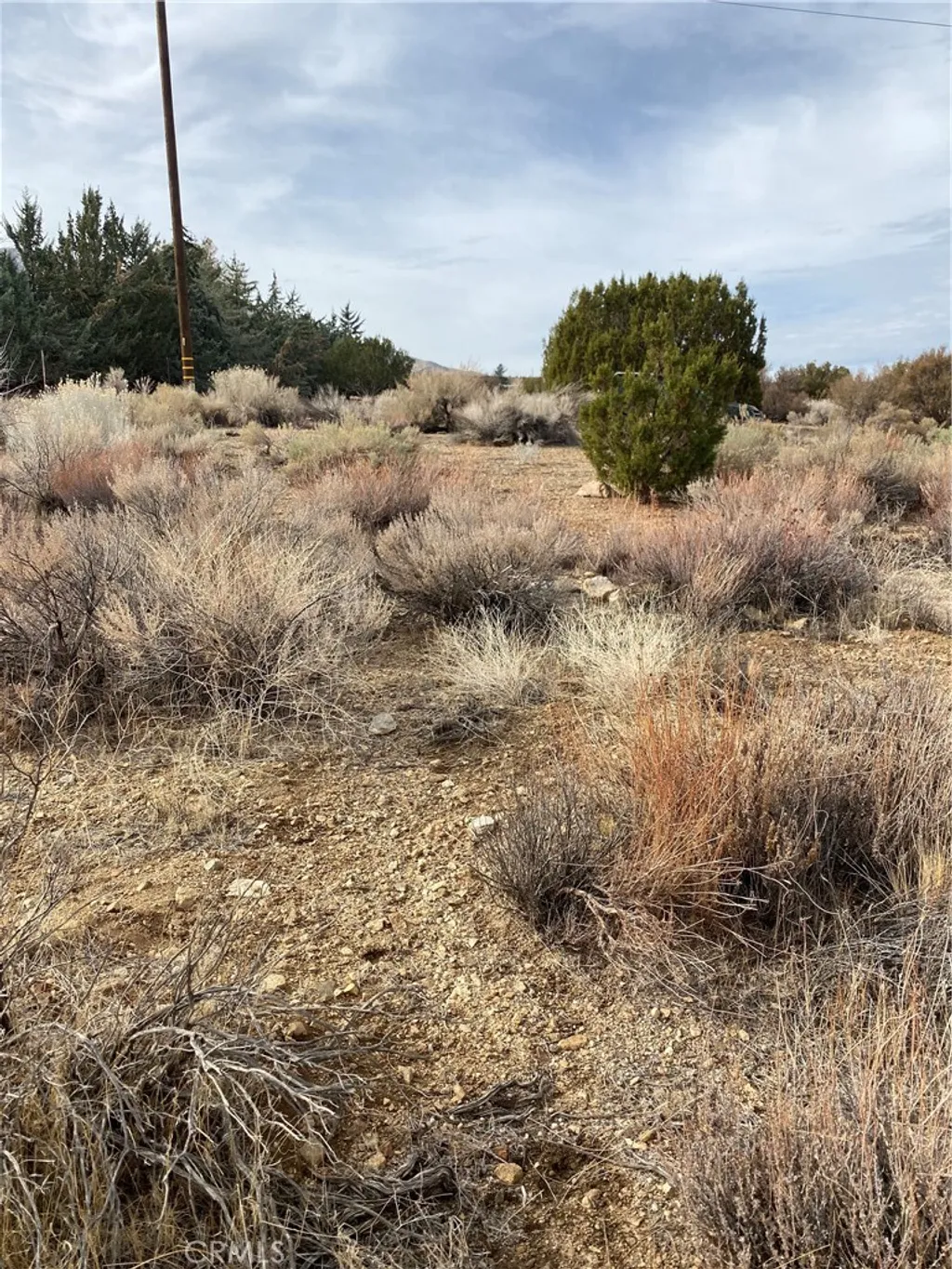 Property image for 14 E Vac/Z14E Lepage Ranch Rd/Vic,, Juniper Hills, CA 93543