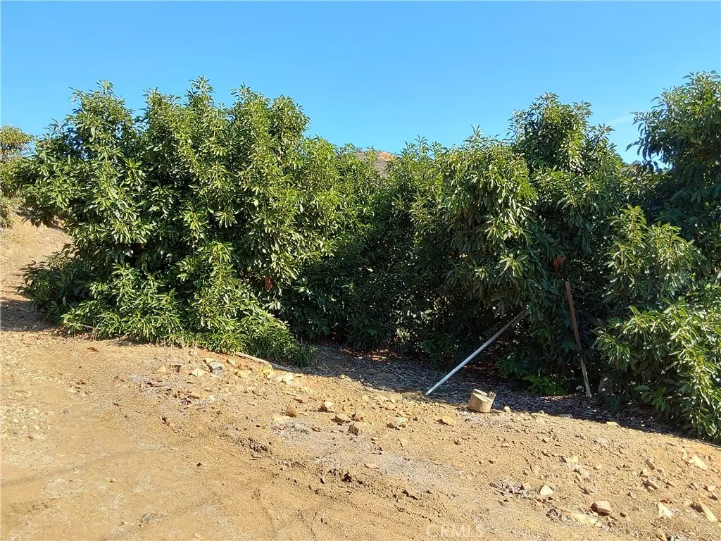 Additional image 69 of 3 Via Vaquero, Temecula, CA 92590