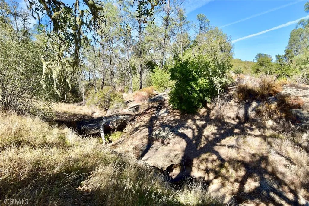 Additional image 39 of 47811 Sapaque Valley Rd, Bradley, CA 93426