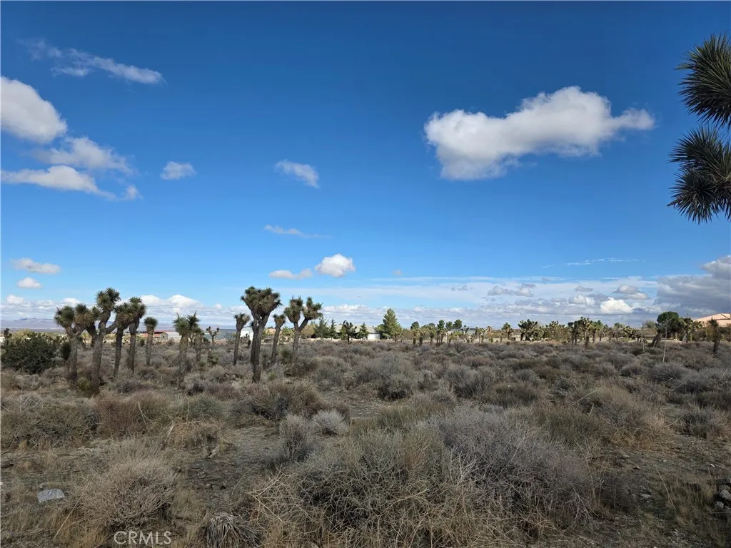 Additional image 2 of 1 Goss Road, Pinon Hills, CA 92372